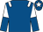 Royal blue, white epaulets, white and royal blue halved sleeves, royal blue cap, white star (Gary Stevens And Brian And Sandy Lambe)