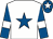 White, royal blue star, royal blue sleeves, white armlet, royal blue cap, white star (P Kavanagh & Mrs Suzanne Fahey)