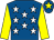 Royal blue, white stars, yellow sleeves, royal blue cap, yellow star (The Philip Kirby Racing Partnership)