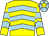 Yellow & light blue chevrons, light blue cap, yellow star (Final Reminder Syndicate)