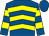 Royal blue, yellow chevrons, hooped sleeves, royal blue cap (Mr Andy Parkin, Nick Kent)