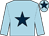 Light blue, dark blue star and star on cap (Mr James Gordon Thom)