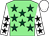 Light green, dark green stars, white sleeves, black stars, white cap (Chepstow & Ffos Las Racing Club)