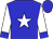 blue, white star, blue cuffs on white sleeves (Stanley, Bill, Stanley, Angie And Hamilton, Amanda)