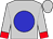 silver, blue disc, red cuffs on sleeves (Benjamin Dela Rosa)