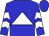 blue, white triangle, white chevrons on sleeves (Harsche, David R And Harsche, Debra)
