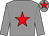 Grey, red star, grey sleeves and cap, red star (Ms C V Walker)