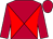 Scarlet and crimson quartered diagonally, scarlet sleeves and cap (Corne Spies Racing (pty) Ltd)