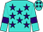 Turquoise, purple stars, turquoise sleeves, purple armbands, turquoise cap, purple stars (Mr Andre Du Plessis)