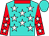 Turquoise, white stars, red collar and sleeves, white stars, turquoise cap (Mr F Bronkhorst)
