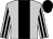 Silver, black panel, black stripes on sleeves, black cap (Atlantis Service Tool Ca Inc)
