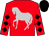 Red, silver horse, black diamonds on sleeves, black cap (Michael Newcomer)