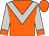 Orange, silver chevron, orange cuffs on silver sleeves (Rio Del Sol Stables, Llc)
