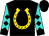 black, gold horseshoe, turquoise sleeves, black diamonds on sleeves, black cuffs (Richardson, Jan And Richardson, Zach)