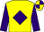 Yellow, purple diamond and sleeves, quartered cap (Mary Carter, Stuart Carter & Ollie Pea)