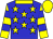 Blue, yellow stars, yellow and blue hooped sleeves, yellow collar and cap (Mr V C Veeramootoo)