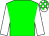 Big-green body, white arms, white cap, big-green checked (S S Wattel)