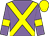 Mauve, yellow cross sashes, yellow armlets & cap (Stall Hernstein)