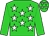 Lime green, white stars, lime green sleeves, white stars on cap (H Declerq)