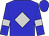 Blue, silver diamond, silver armlet on sleeves, blue cap (Wayne Spalding)