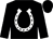 Black, white horseshoe (Rey Hernandez)