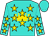 Turquoise, gold crown, gold stars, turquoise cap (Helen Marshall)