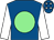 Royal blue, light green disc, white sleeves, royal blue cap, white stars (Wasters Syndicate)