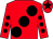 Red, large black spots, black spots on sleeves, black star on cap (MRCR Racing Syndicate)