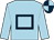 Light blue, dark blue hollow box, quartered cap (Thomas Stafford)