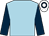 Light blue,dark blue sleeves,white cap,dark blue hoop (Rosyground Stud Racing)
