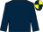 Dark blue, dark blue and yellow quartered cap (Mr David F Powell & Partner)
