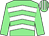 Light green, white chevrons, light green sleeves, striped cap (B Keane & S Nugent)