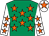Emerald green, orange stars, white sleeves, orange stars, white cap, orange star (Hold My Beer Syndicate)