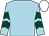 Light blue, dark green chevrons on sleeves, white cap (Jesmond Racing & Partner)