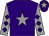 Purple, grey star, grey sleeves, purple diamonds, purple cap, grey star (Max Plapp)