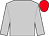 SILVER, RED cap (Sheikh Hamdan Bin Mohammed Al Maktoum)