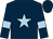 Dark blue, light blue star and armlets (Miss K Eastwood)