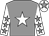 Grey, white star, white sleeves, grey stars, white cap, grey star (Grey Lady Racing Syndicate)