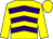 Yellow & purple chevrons, yellow sleeves & cap (Daniel Murray)