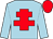 Light blue, red cross of lorraine, red cap (Golden Ratio, Hull, Hollings & LMS)