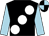 Black, large white spots, light blue sleeves, light blue & black quartered cap (Richard Eustace)