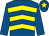 Royal blue & yellow chevrons, royal blue sleeves, royal blue cap, yellow star (Michael O'Regan)