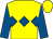 Yellow, royal blue triple diamond and sleeves (F Butler And Jp Costello)