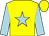 Yellow, light blue star and sleeves (Mr Henry Birtles)