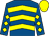 Royal blue, yellow chevrons, diamonds on sleeves, yellow cap (The Gorijeb Partnership)