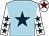 Light blue, dark blue star, white sleeves, dark blue stars, white cap, maroon star (Neal Flynn & Ian Walsh & Miss C Howes)