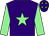 Purple, light green star & sleeves, light green stars on cap (Ms F Richards)