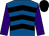 Royal blue & black chevrons, purple sleeves, black cap (Raymond Doyle)