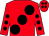 Red, large black spots, black spots on sleeves, red cap, black spots (Ladybird Syndicate)