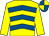 Yellow & royal blue chevrons, yellow sleeves, quartered cap (Paul Mullins)